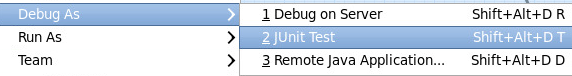 debugger 17