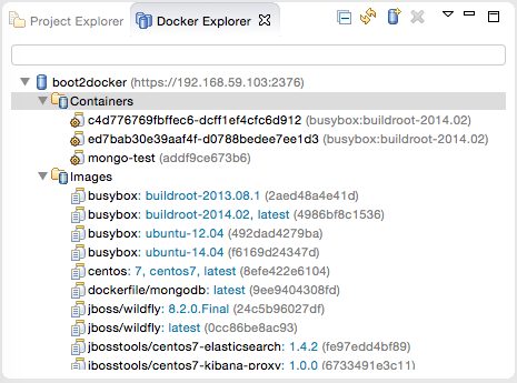 Docker Explorer view