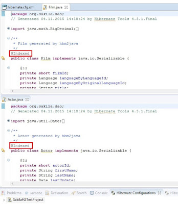 Hibernate Search indexed entities