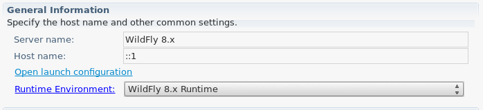 Setting the IPv6 Host